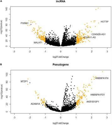 Comprehensive Network Analysis Reveals Alternative Splicing-Related lncRNAs in Hepatocellular Carcinoma